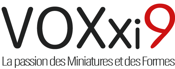 Logo voxxi9 avec slogan en français