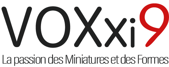 Logo voxxi9 avec tagline en français